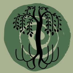 Thumbnail for the home tutoring course about Big Ideas - Animism for Webinar students.