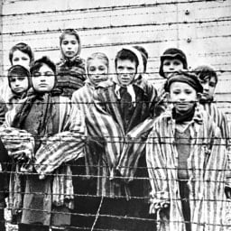 Thumbnail for the home tutoring course about History: The Holocaust for Key Stage 3 students.